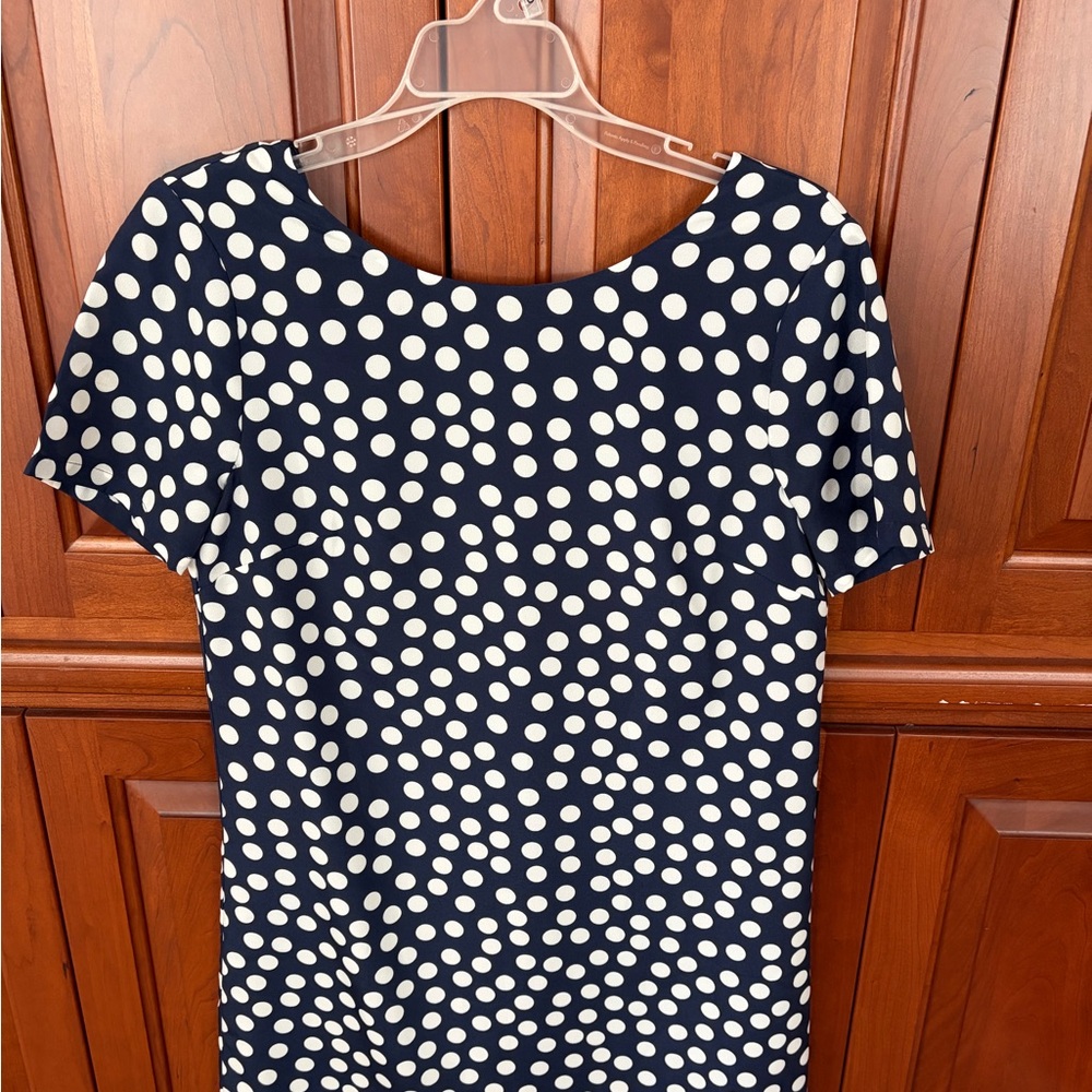 J. Crew Navy and White Polka Dot Dress